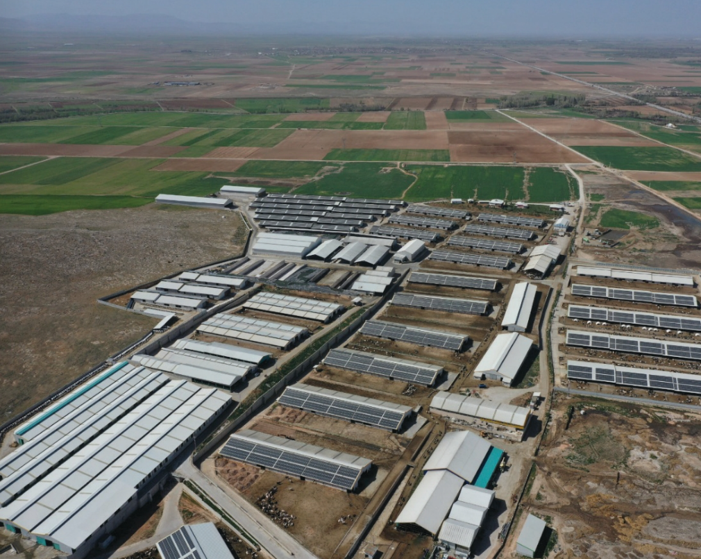 Tarımda Sıfır Atık Yaklaşımı: Çiftliklerden Enerjiye Dönüşüm